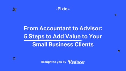 From Accountant to Advisor: 5 Steps to Add Value to Your Small Business Clients - Pixie